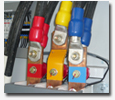 SCP Thailand : โครงการที่สำเร็จแล้ว SCP Thailand : โครงการที่สำเร็จแล้ว