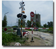 SCP Thailand : โครงการที่สำเร็จแล้ว SCP Thailand : โครงการที่สำเร็จแล้ว