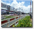 SCP Thailand : โครงการที่สำเร็จแล้ว SCP Thailand : โครงการที่สำเร็จแล้ว